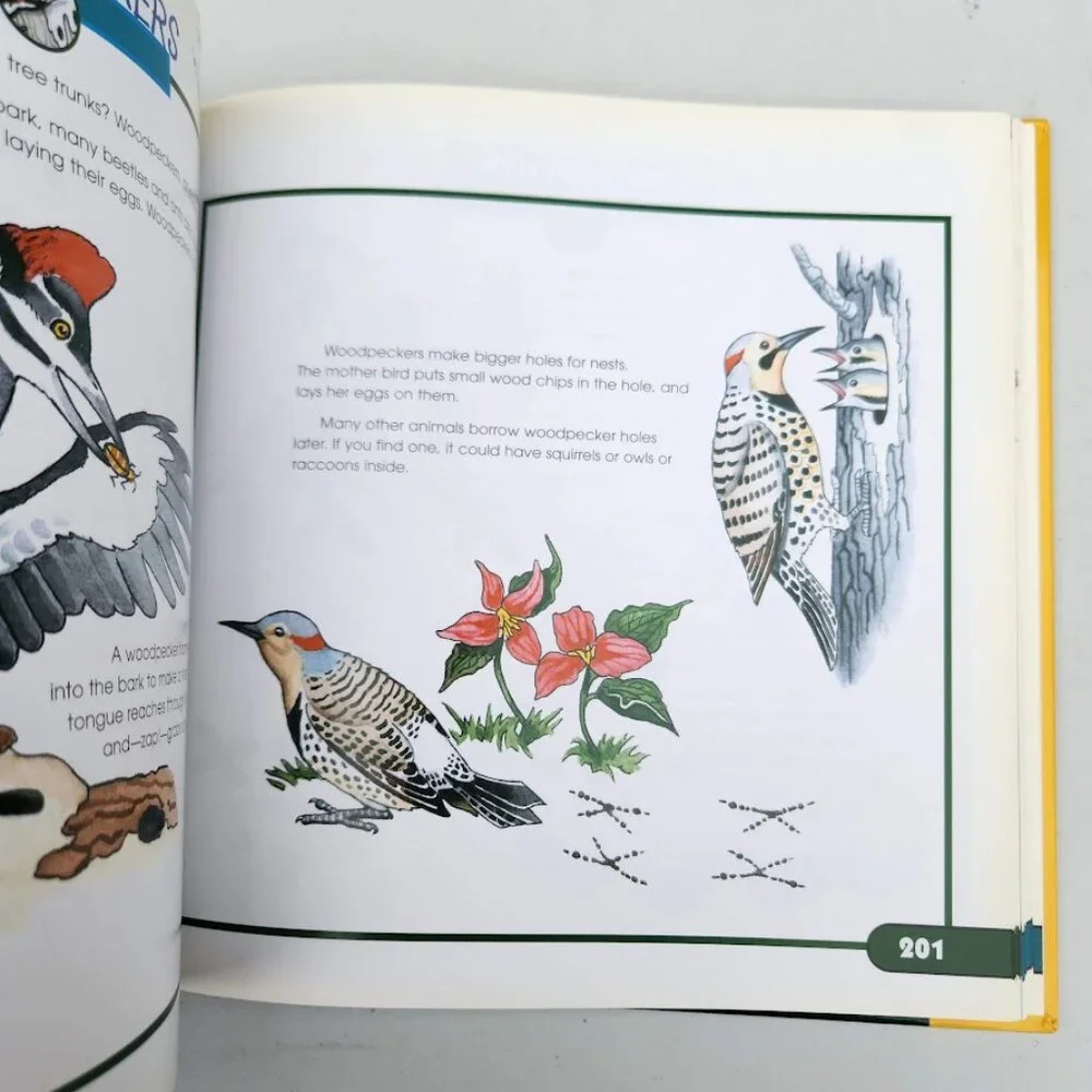 More Fun With Nature Take Along Guides Field Guide Hardcover Book Activity Craft